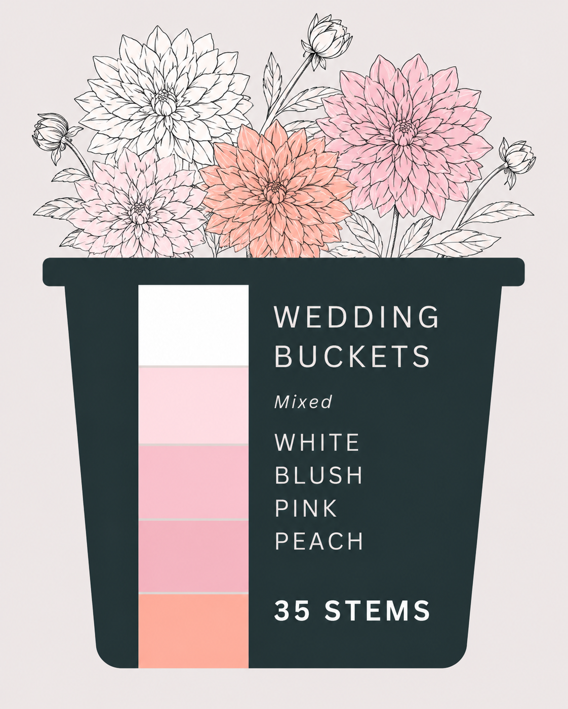 Dahlia- Mixed Wedding (Whites, Peaches, Blush, Pinks) (wk25)