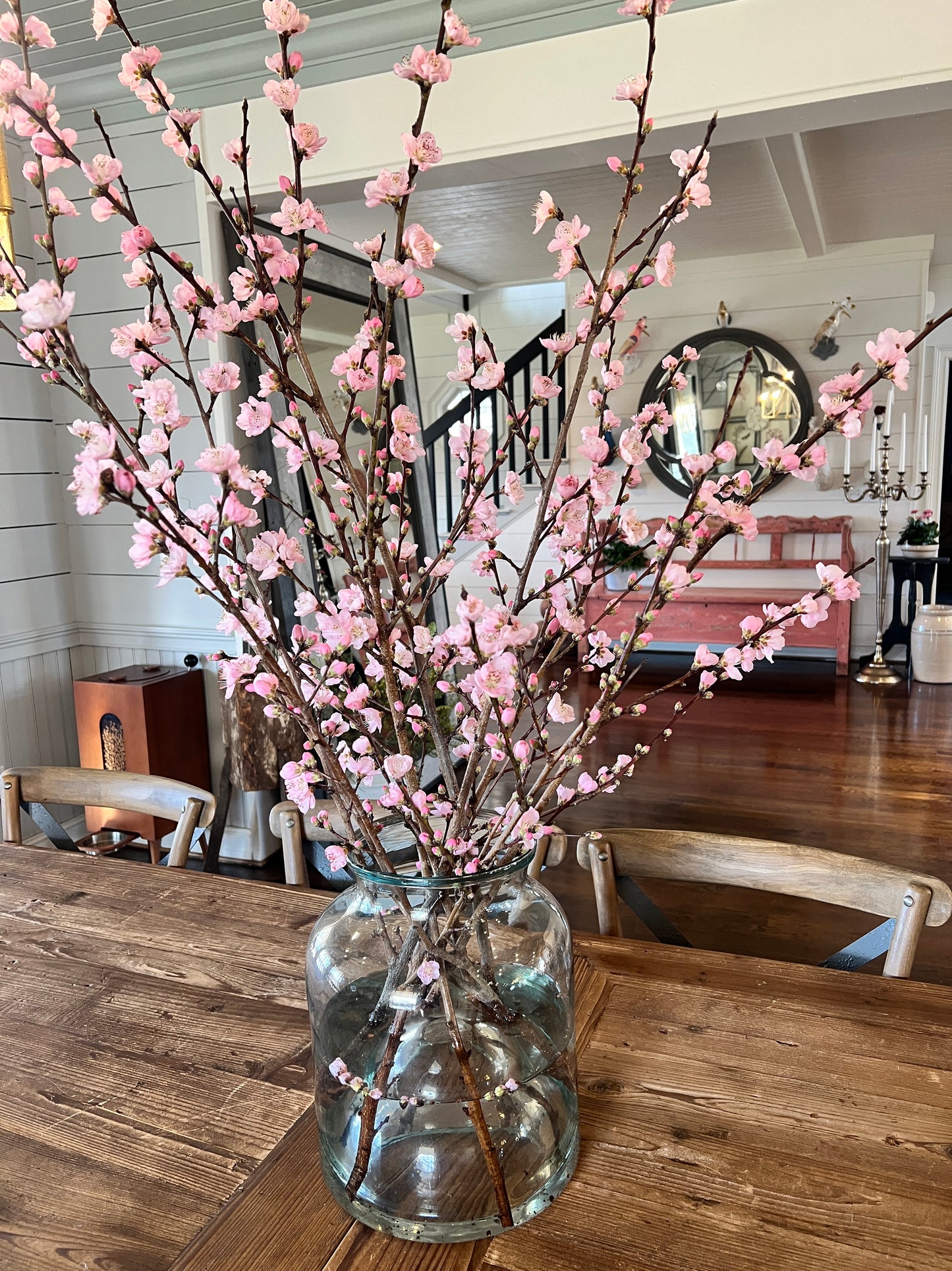 Blooming Peach Branches