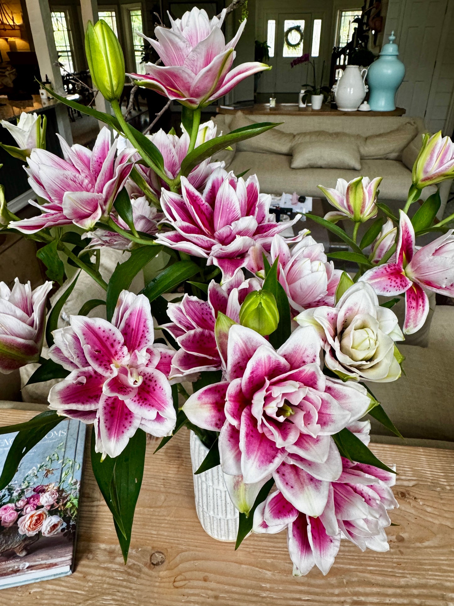 Rose Lily- Samantha