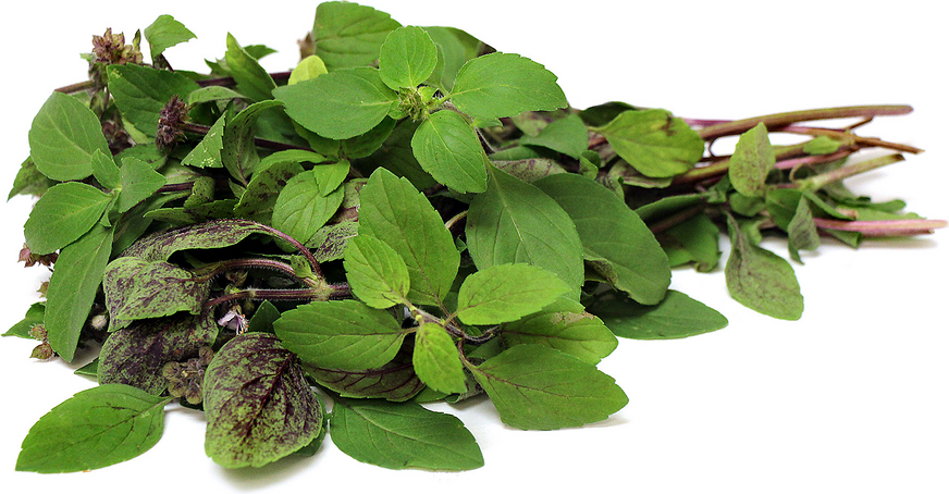 Basil-Cinnamon