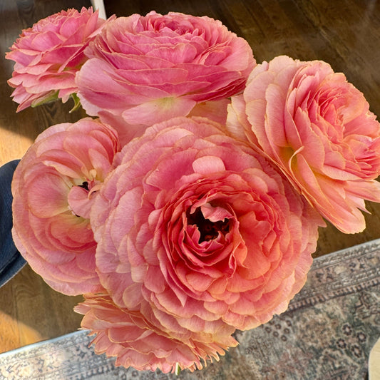 Ranunculus- NoHant (wk11)