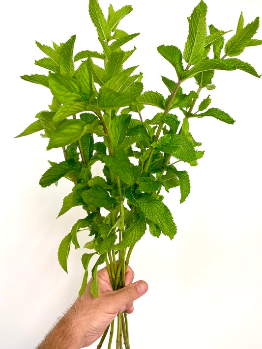 Mint- Apple